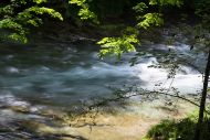 Erlaufklamm 4 W.goldschmid 